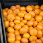 葵司在线骑兵 zi7pa